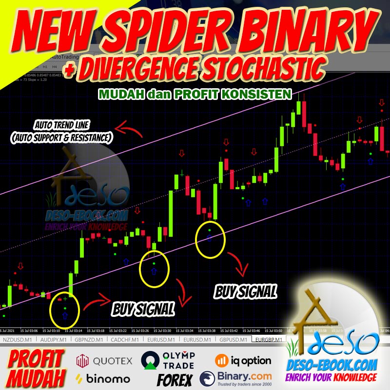 Spider