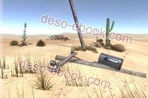 Desert Environment