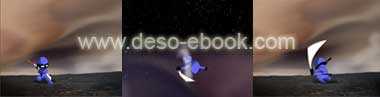 flash ninja